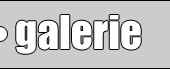 Galerie